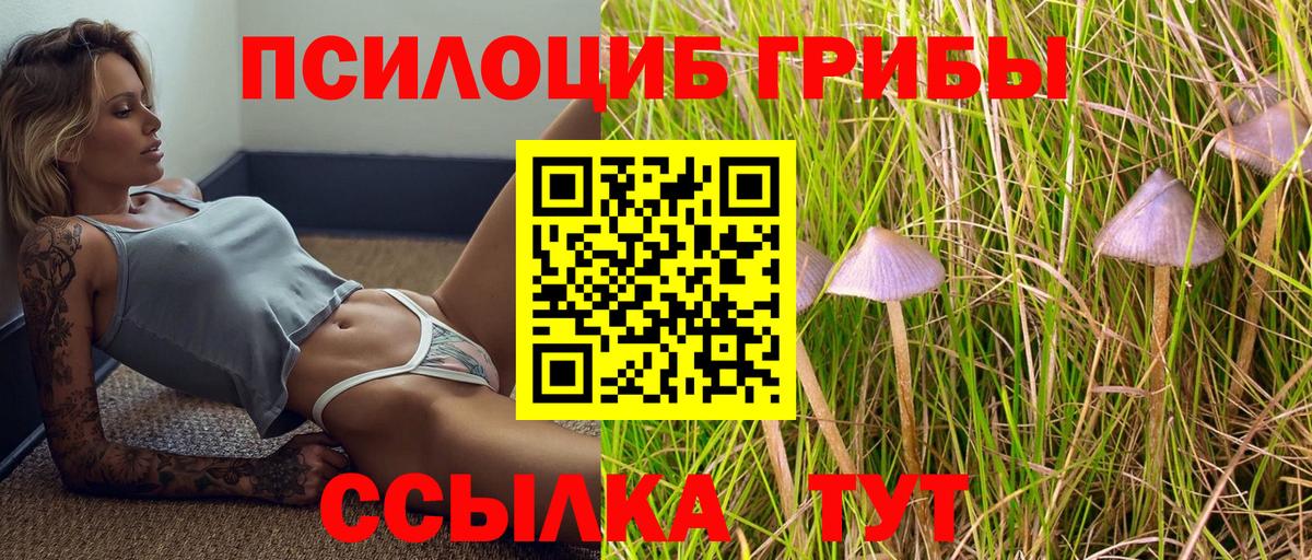 магазин продажи наркотиков  Вход с VPN  Королёв  Галлюциногенные грибы Psilocybe 